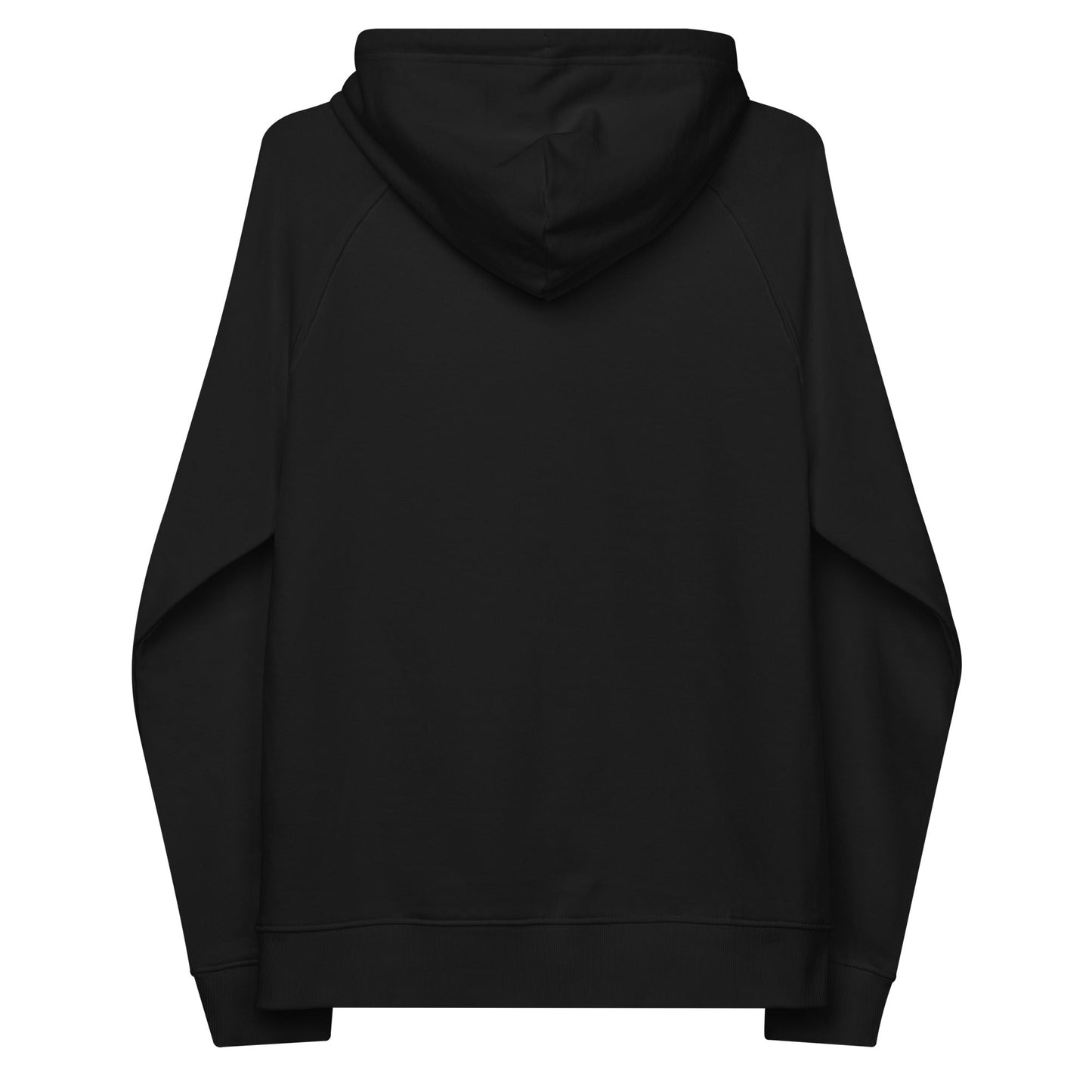 unlearn-relearn-hoodie-h3 unisex-eco-raglan-hoodie-black-back-647547b169f25.jpg