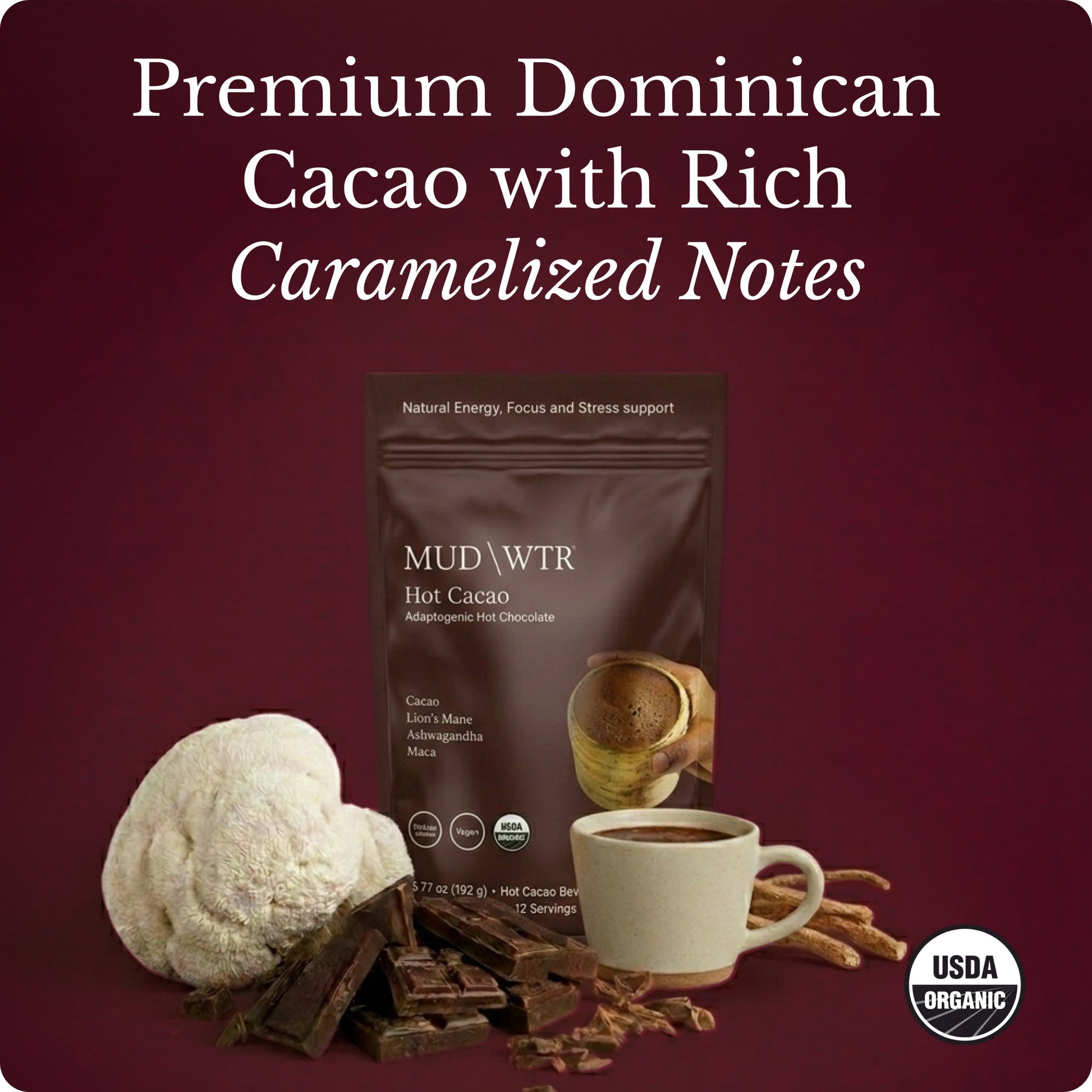 hot-chocolate-n3 Hot_Chocolate_Image_01.jpg