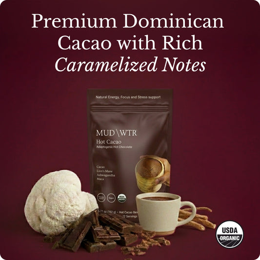 hot-chocolate-n3 Hot_Chocolate_Image_01.jpg