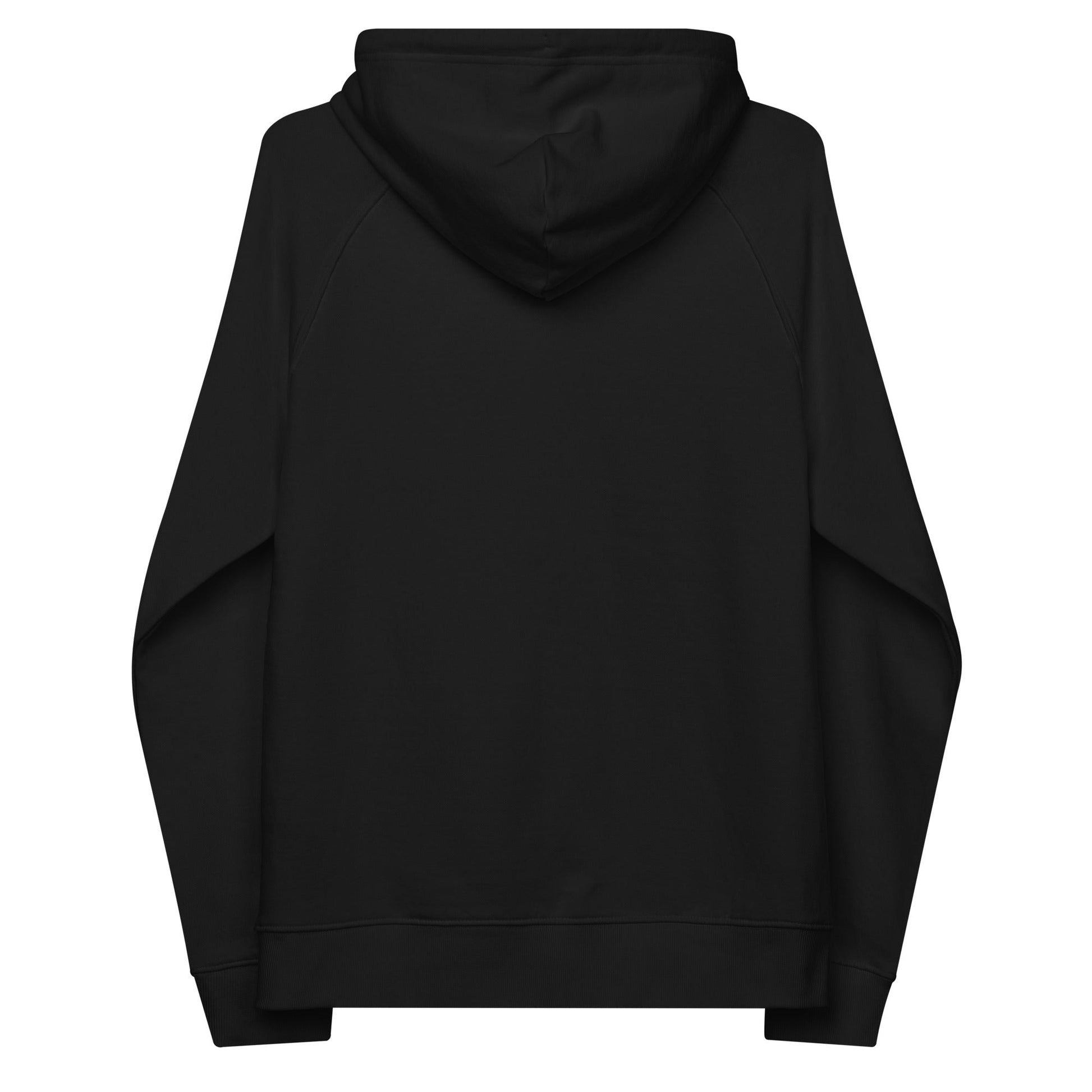 unlearn-relearn-hoodie-h3 unisex-eco-raglan-hoodie-black-back-647547b169f25.jpg